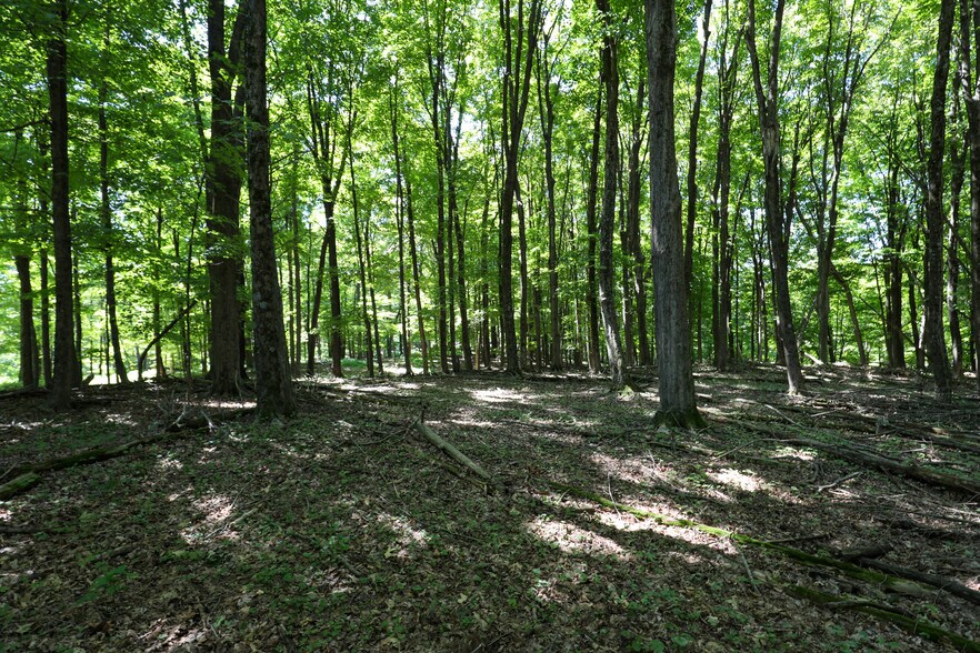 More Photos Of 458 Lucas Ave, Kingston Land For Sale