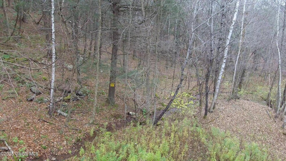 More Photos Of Mt Eden Estates Rd, Lexington Land For Sale