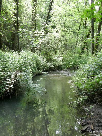 More Photos Of 15960 Bottle Rock Rd, Cobb Hotel For Sale