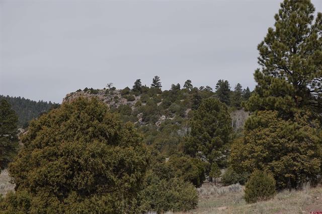 More Photos Of TBD Fox Creek Road, Mogote Land For Sale