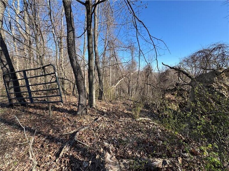 More Photos Of 0 Fallen Timber rd, Avella Land For Sale