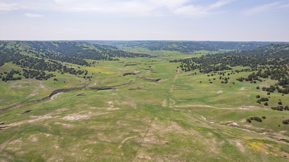 More Photos Of 21627 Hardingrove Rd, Milesville Land For Sale