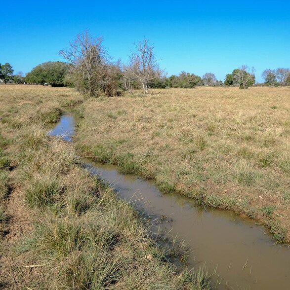 More Photos Of 26266 Fields Store Rd., Waller Land For Sale