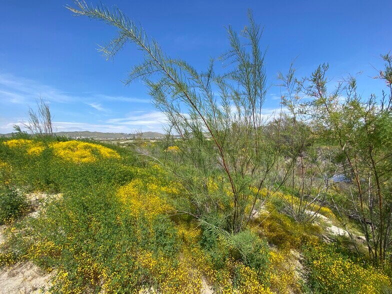 More Photos Of 29381 Village Pky, Lake Elsinore Golf Course Driving Range For Sale