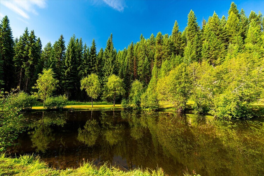 More Photos Of 7000 Graves Creek Rd, Lolo Bar For Sale