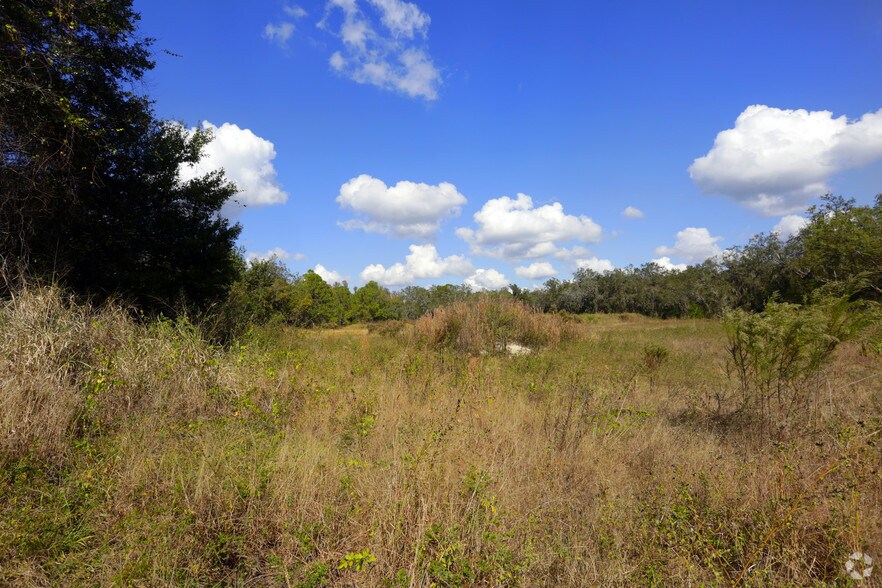 More Photos Of 12653 Telecom Dr, Tampa Office For Lease