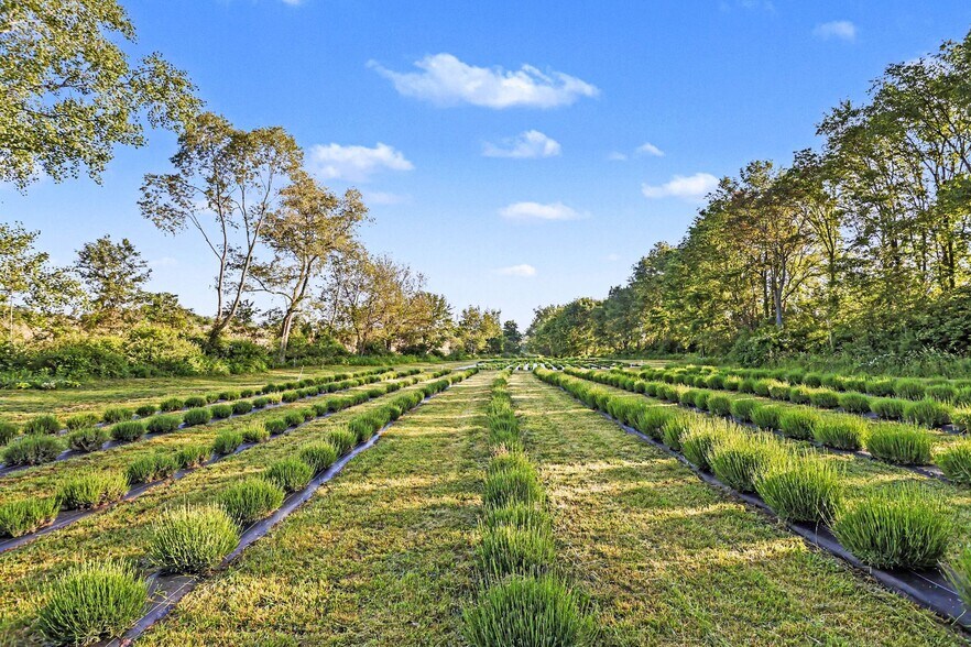 More Photos Of 2175 E Hinchman Rd, Berrien Springs Land For Sale