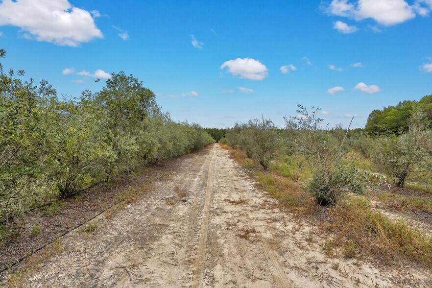 More Photos Of 2437 GA Highway 121, Glennville Land For Sale