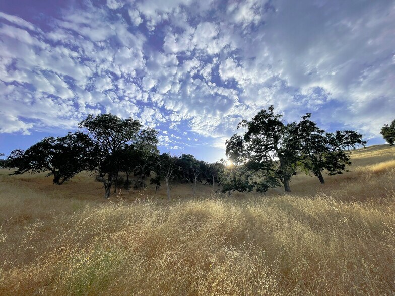 More Photos Of 0 E. 41 Hwy, Templeton Land For Sale