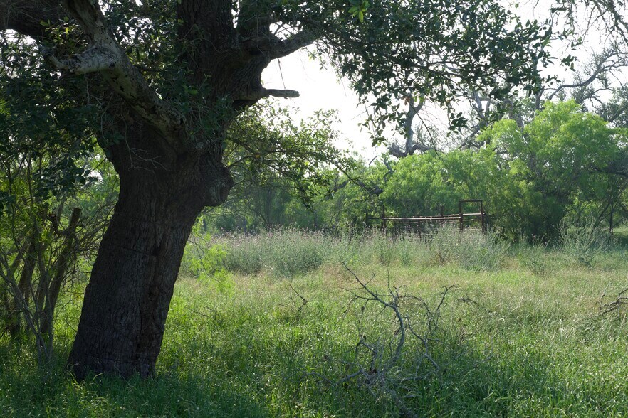 More Photos Of 00 Taylorsville Rd, Red Rock Land For Sale