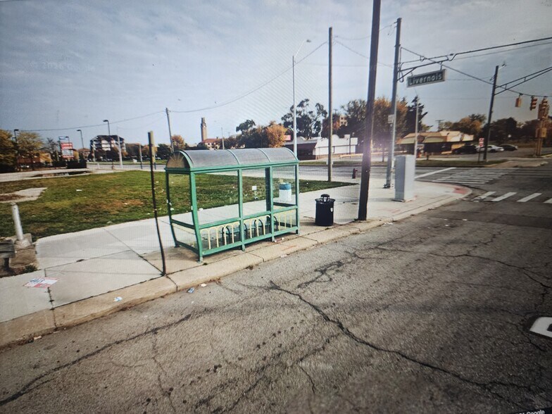 Primary Photo Of 6300 Puritan St, Detroit Land For Sale