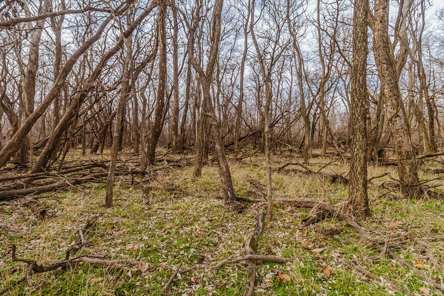 More Photos Of 79+/- Acres on 272nd Rd. Rd @ 41st Rd, Arkansas City Land For Sale