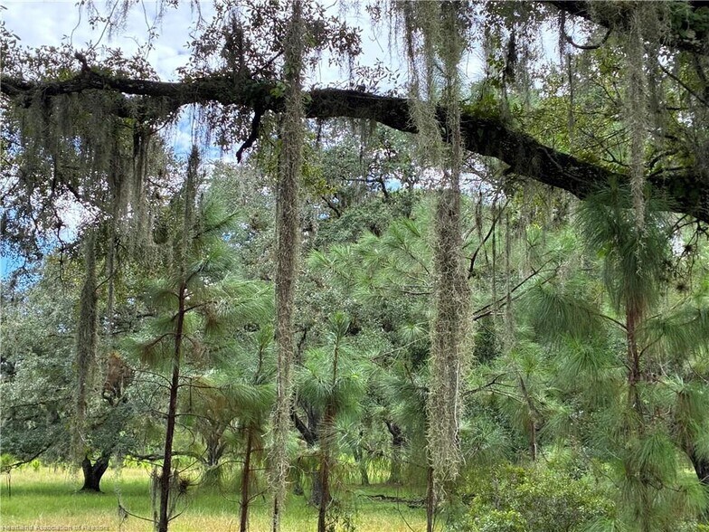 More Photos Of Detjens Dairy Road, Venus Land For Sale