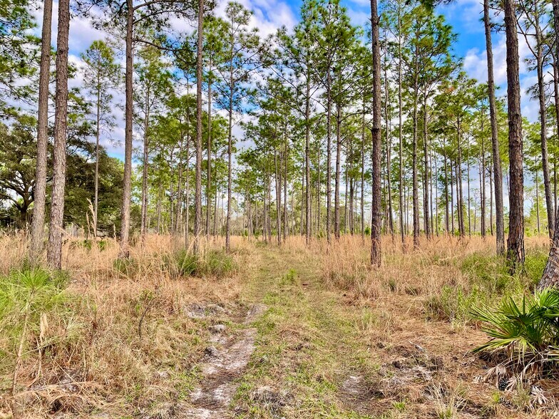 More Photos Of 19858 State Road 52, Land O' Lakes Land For Sale