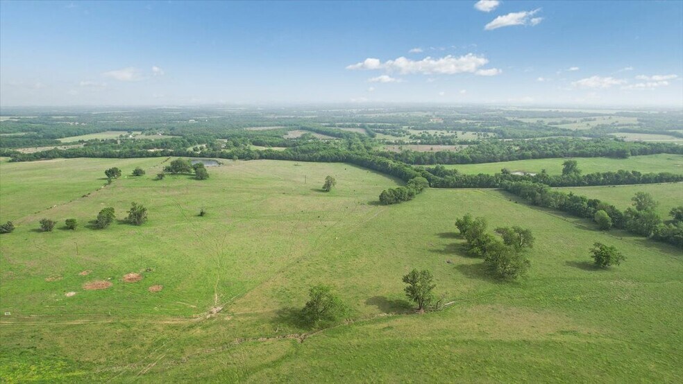 More Photos Of TBD Farm to Market Road 100, Honey Grove Land For Sale