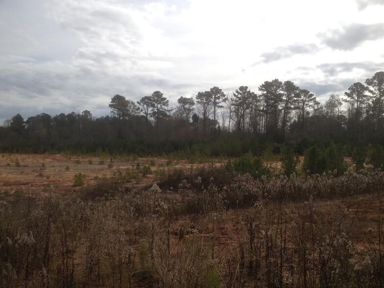 More Photos Of 13259 Hwy 955 E, Clinton Land For Lease