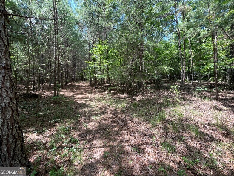 More Photos Of 0 Fallen Branch Circle Southeast, Rome Land For Sale