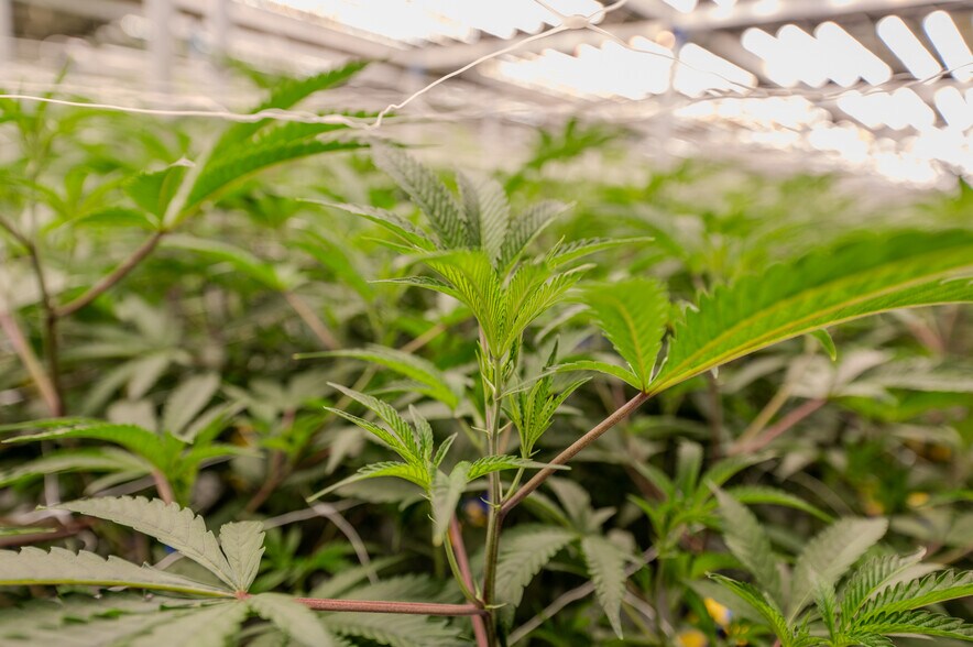 More Photos Of 947 N Buffington Rd, Sallisaw Warehouse For Sale