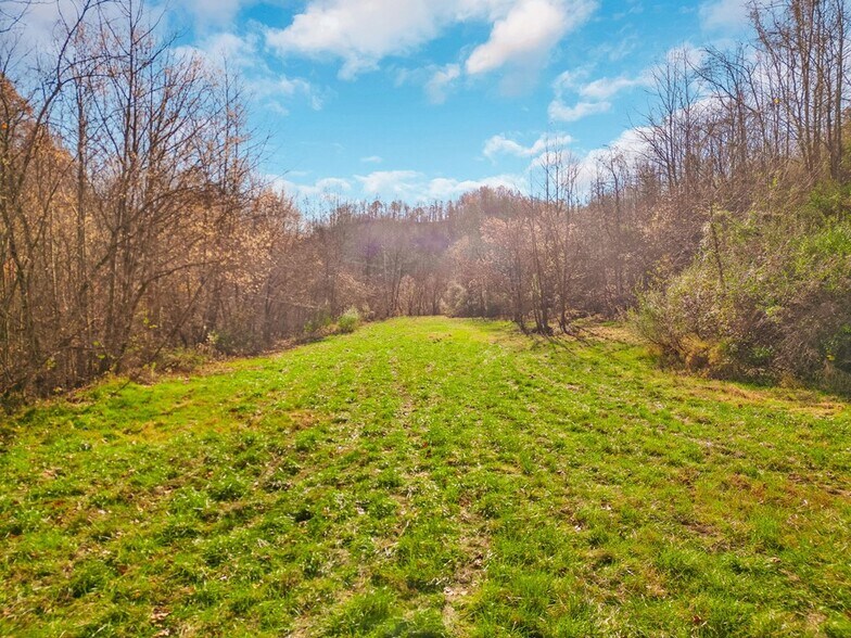More Photos Of 1960 US Highway-23, Wittensville Land For Sale