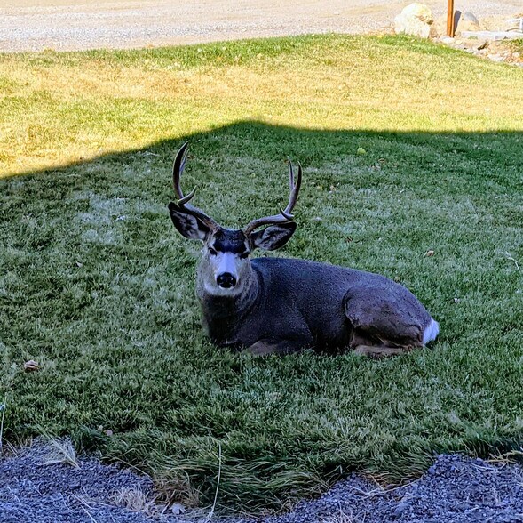 More Photos Of 13 Gott Ln, Salmon Hospitality For Sale