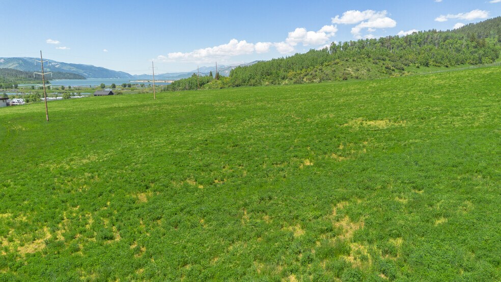 More Photos Of Lots 1 & 2 Lever Spring rd, Alpine Land For Sale