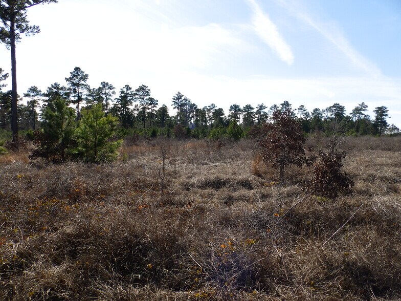 More Photos Of 20175 HWY 155 S, Flint Land For Sale