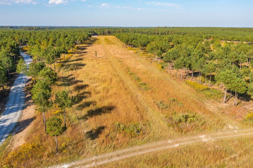 More Photos Of 18618 Hwy 43, Linden Land For Sale