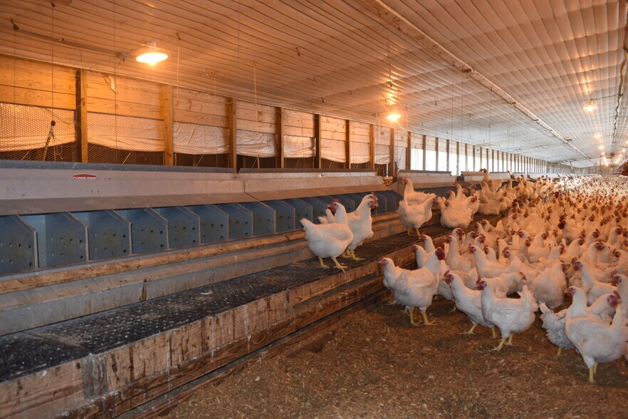 More Photos Of 441 Weaver Rd, Moultrie Land For Sale