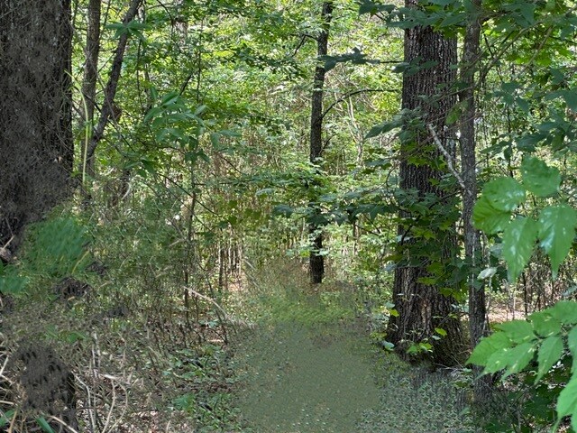 More Photos Of 0 Macon Rd, Perry Land For Sale