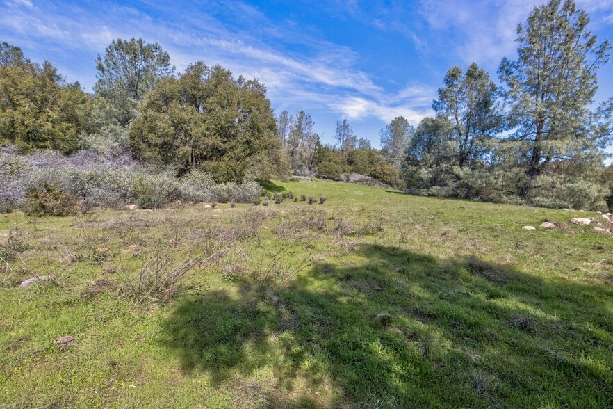 More Photos Of 18800 Charleston Rd, Volcano Land For Sale