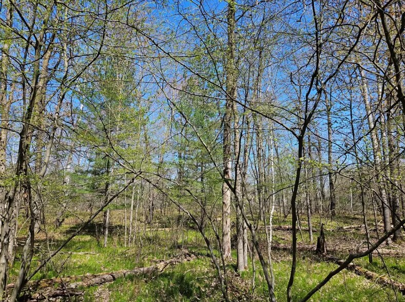 More Photos Of 2935 S Wisconsin Ave, Rice Lake Land For Sale