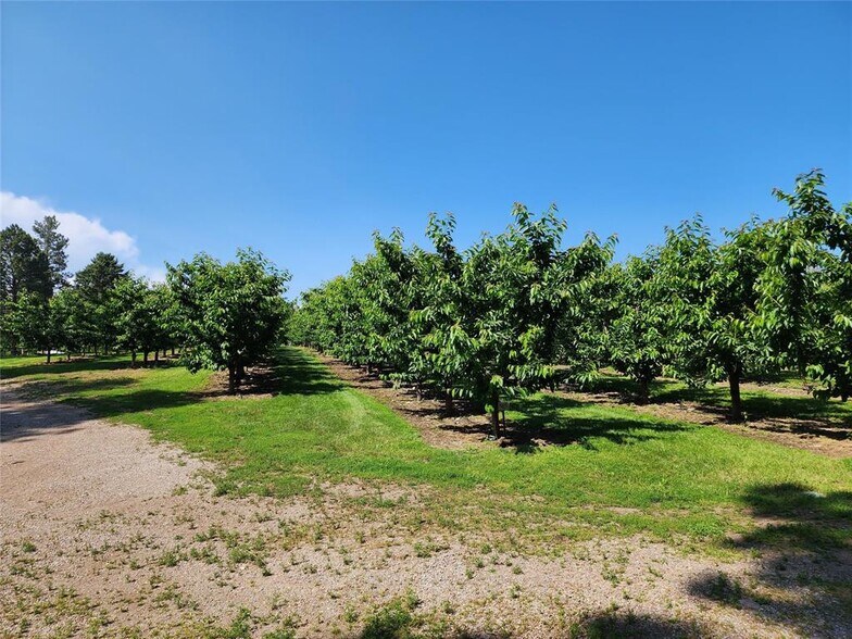 More Photos Of 32624 S Finley Point Rd, Polson Specialty For Sale