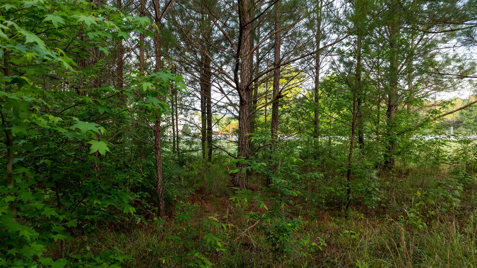 More Photos Of Kia Blvd @ Sandtown Rd, Lagrange Land For Sale