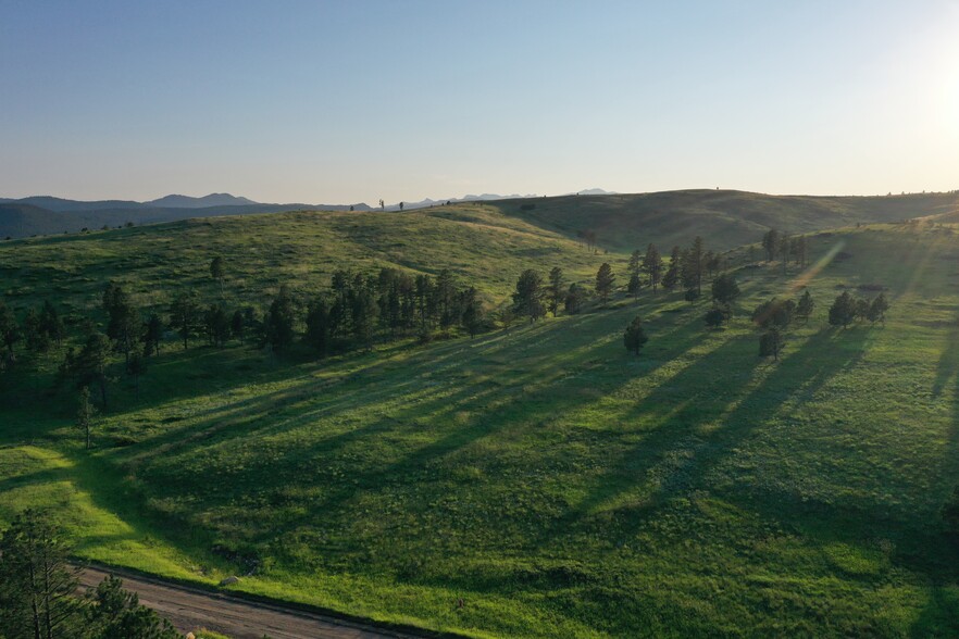 Primary Photo Of Rushmore Rim Rd @ Eleanor Drive, Keystone Land For Sale