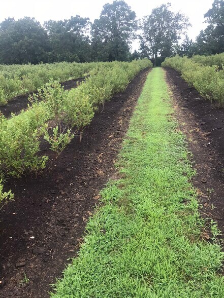 More Photos Of 552 Lick Creek Rd, Leasburg Land For Sale