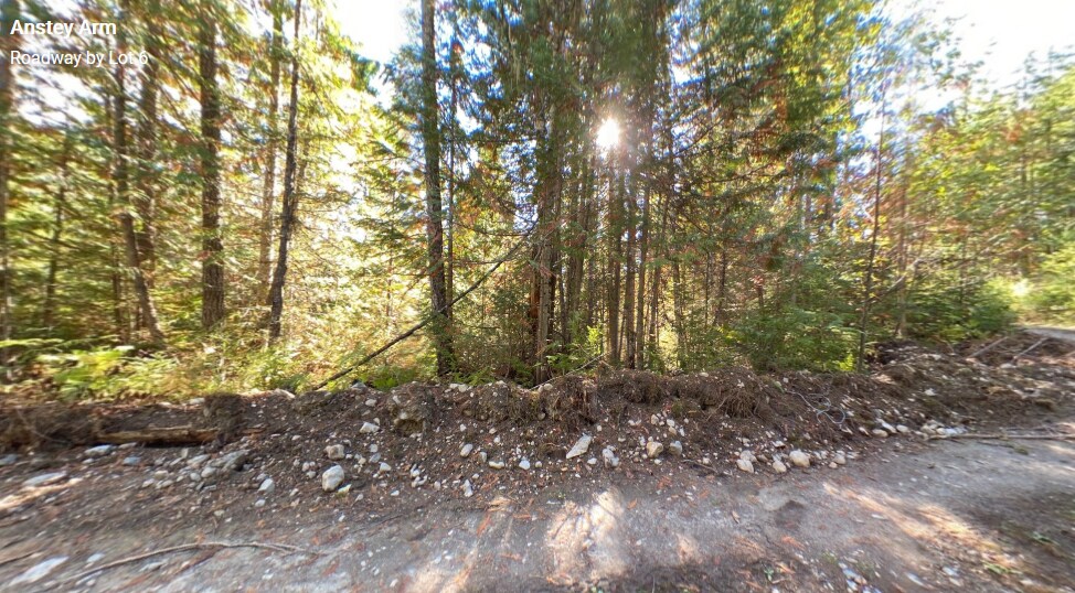 More Photos Of Lot 6 Lot A N. Queest, Sicamous Land For Sale