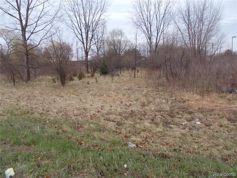 More Photos Of Caro Rd, Caro Land For Sale