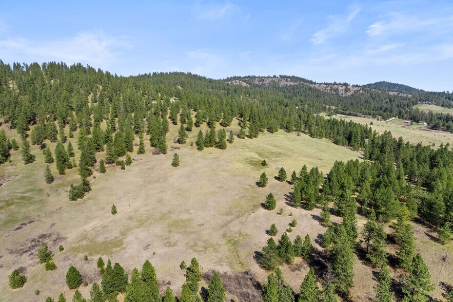 More Photos Of 15809 N Scribner Branch Rd, Spokane Land For Sale