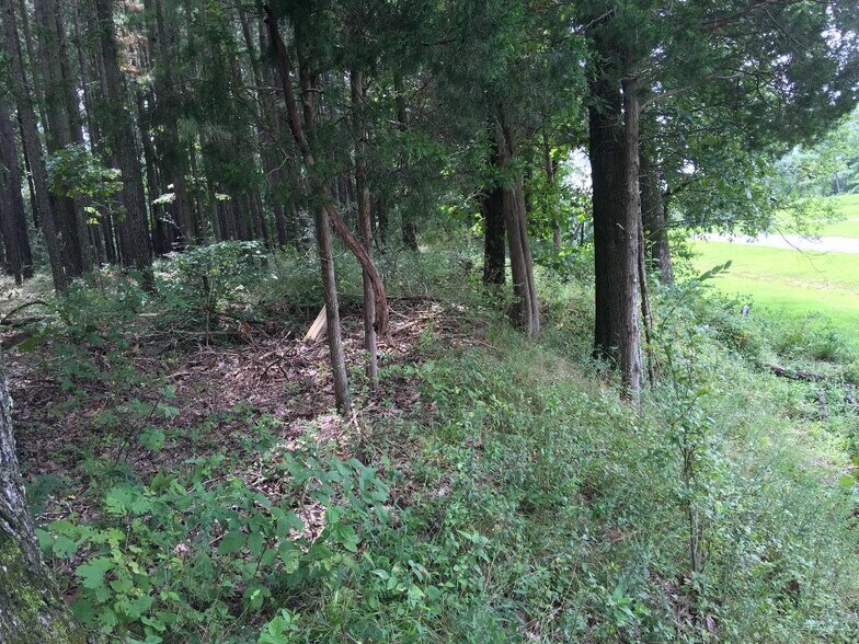 More Photos Of Parrish Ridge Ln, Goreville Land For Sale