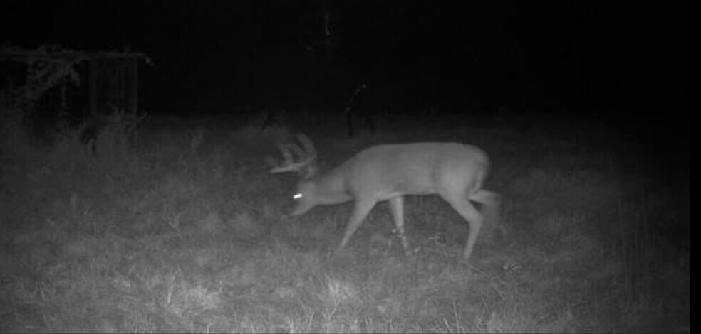 More Photos Of 24030 Hegar Rd, Hockley Land For Sale