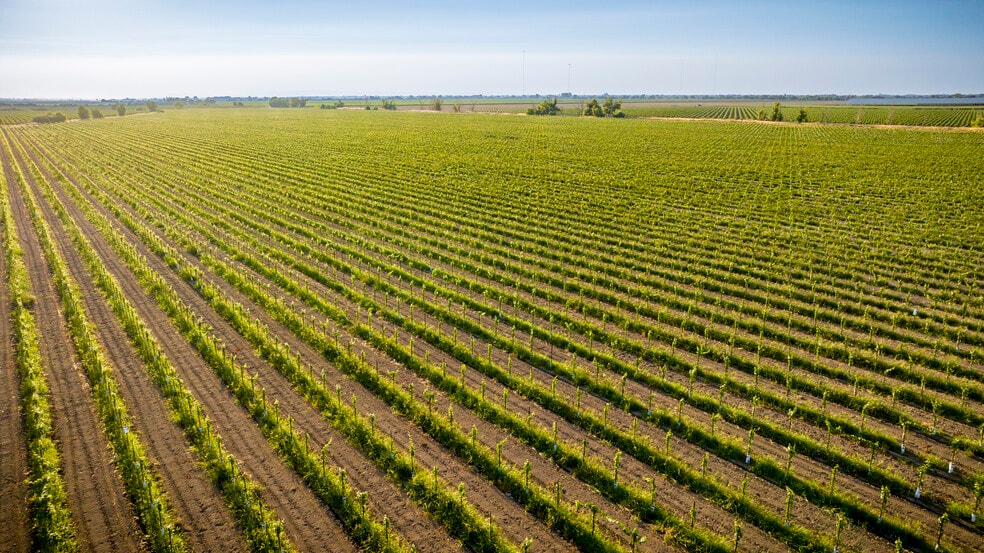 More Photos Of TFC Ranch, Lodi Land For Sale