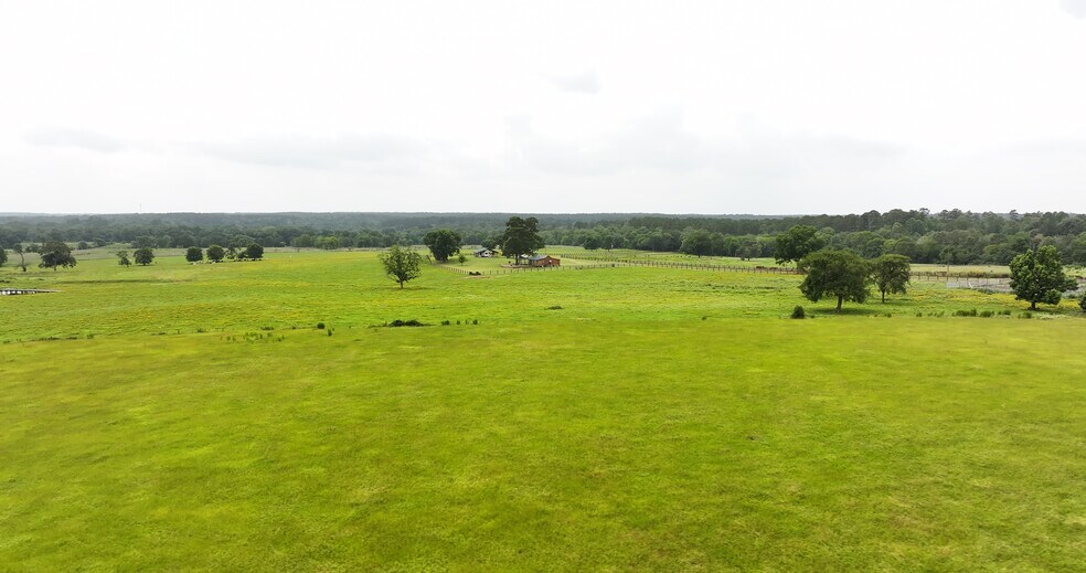 More Photos Of 44 Bucking Bull Rd, New Waverly Land For Sale