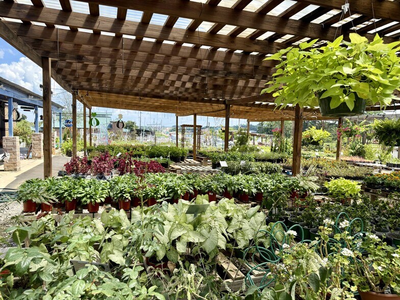 More Photos Of 20698 Eva St, Montgomery Garden Center For Lease