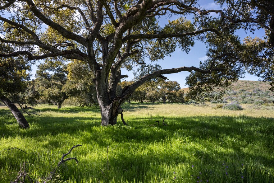 More Photos Of 7855 Old Careaga Ranch Rd, Santa Maria Land For Sale