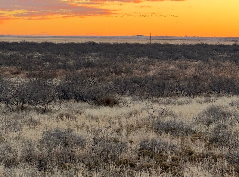 More Photos Of SW Corner of 380 & County Road 595 hwy, Brownfield Land For Sale