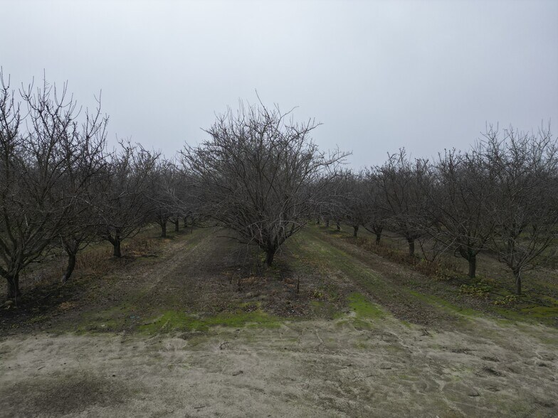 More Photos Of 8350 17 1/2 Avenue, Lemoore Land For Sale
