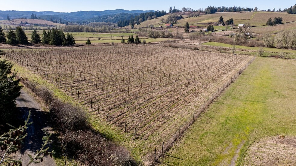More Photos Of 27012 Briggs Hill Rd, Eugene Winery Vineyard For Sale