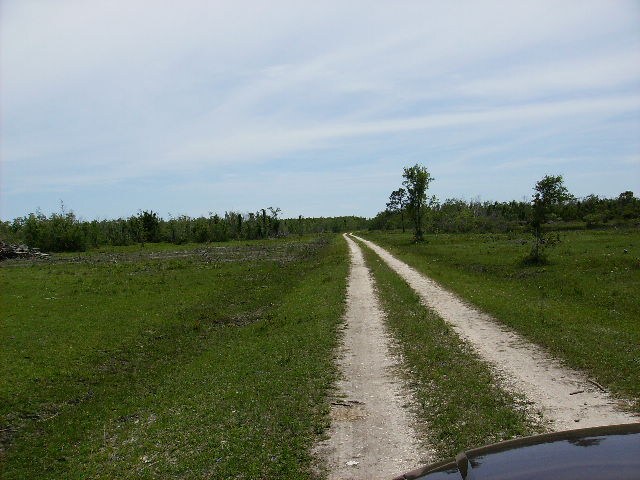 More Photos Of FM 2004 @ Avenue C, Hitchcock Land For Sale