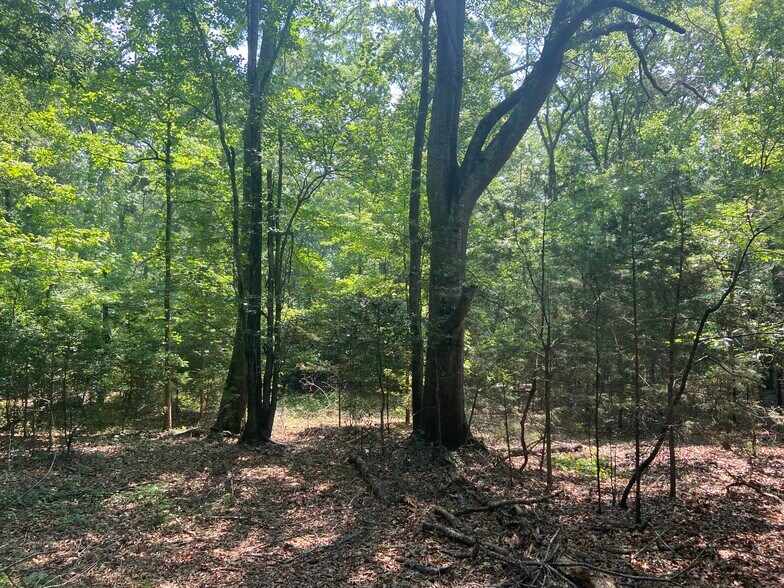 Primary Photo Of Terry Shop Rd, Fountain Inn Land For Sale