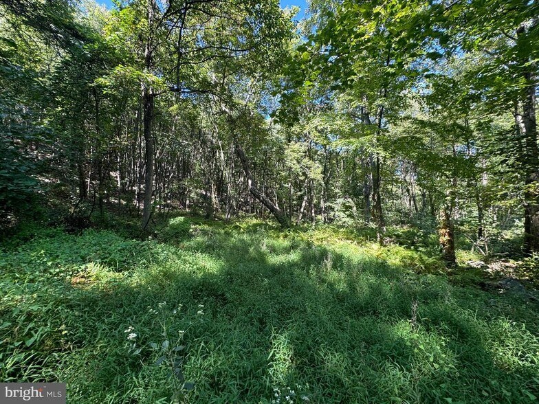 More Photos Of 0 Laurel Mountain Rd, Three Springs Land For Sale